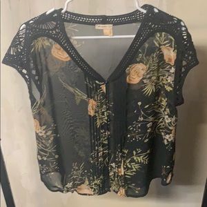 Meadow Rue Blouse from Anthropologie